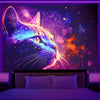 Cat Galaxy